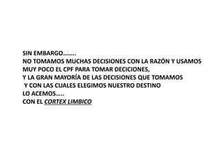 SIN EMBARGO……..
NO TOMAMOS MUCHAS DECISIONES CON LA RAZÓN Y USAMOS
MUY POCO EL CPF PARA TOMAR DECICIONES,
Y LA GRAN MAYORÍA DE LAS DECISIONES QUE TOMAMOS
Y CON LAS CUALES ELEGIMOS NUESTRO DESTINO
LO ACEMOS…..
CON EL CORTEX LIMBICO
 