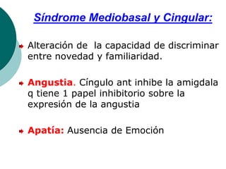 Síndrome Mediobasal y Cingular:
Alteración de la capacidad de discriminar
entre novedad y familiaridad.
Angustia. Cíngulo ant inhibe la amigdala
q tiene 1 papel inhibitorio sobre la
expresión de la angustia
Apatía: Ausencia de Emoción
 