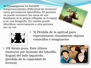 °°°CORTEZA VISUAL SECUNDARIA  V2°°°Tiene la capacidad para percibir la forma más allá del contraste, aparece en las áreas de asociación, en la vía parvocelular.