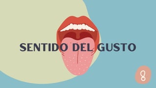 sentido del gusto
 