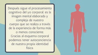 Después sigue el procesamiento
cognitivo del yo corporal; es la
imagen mental elaborada y
compleja de nuestro
cuerpo que se realiza a través
de la experiencia de forma más
o menos consciente.
Gracias al esquema corporal
podemos tener autoconciencia
de nuestra propia identidad
física.
 