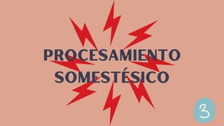 PROCESAMIENTO
SOMESTÉSICO
 