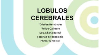 LOBULOS
CEREBRALES
*Cristian Hernández
*Felipe Quintero
Doc. Liliana Bernal
Facultad de psicología
Primer semestre
 