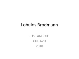 Lobulos Brodmann
JOSE ANGULO
CUE AVH
2018
 