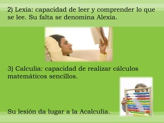 2) Lexia: capacidad de leer y comprender lo que
se lee. Su falta se denomina Alexia.




3) Calculia: capacidad de realizar cálculos
matemáticos sencillos.




Su lesión da lugar a la Acalculia.
 
