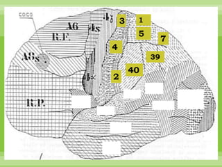 3    1
         5
                  7
4
             39
        40
2
 