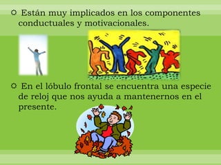  Están muy implicados en los componentes
 conductuales y motivacionales.




 En el lóbulo frontal se encuentra una especie
 de reloj que nos ayuda a mantenernos en el
 presente.
 