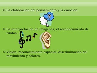  La elaboración del pensamiento y la emoción.




 La interpretación de imágenes, el reconocimiento de
  ruidos.




 Visión, reconocimiento espacial, discriminación del
  movimiento y colores.
 