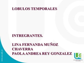 LOBULOS TEMPORALES
INTREGRANTES.
LINA FERNANDA MUÑOZ
CHAVERRA
PAOLAANDREA REY GONZALEZ
 