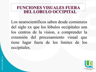 FUNCIONES VISUALES FUERA
DEL LOBULO OCCIPITAL
Los neurocientificos saben desde comienzos
del siglo xx que los lóbulos occipitales son
los centros de la vision, a comprender la
extensión del procesamiento visual que
tiene lugar fuera de los limites de los
occipitales.
 