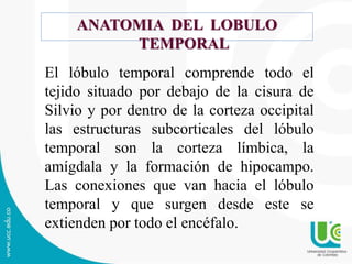 ANATOMIA DEL LOBULO
TEMPORAL
El lóbulo temporal comprende todo el
tejido situado por debajo de la cisura de
Silvio y por dentro de la corteza occipital
las estructuras subcorticales del lóbulo
temporal son la corteza límbica, la
amígdala y la formación de hipocampo.
Las conexiones que van hacia el lóbulo
temporal y que surgen desde este se
extienden por todo el encéfalo.
 
