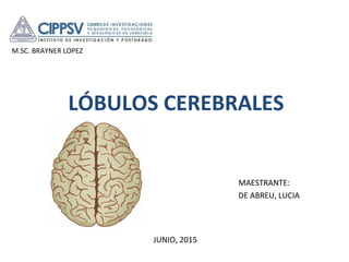 LÓBULOS CEREBRALES
MAESTRANTE:
DE ABREU, LUCIA
M.SC. BRAYNER LOPEZ
JUNIO, 2015
 