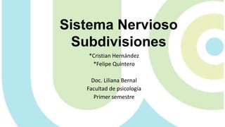 Sistema Nervioso
Subdivisiones
*Cristian Hernández
*Felipe Quintero
Doc. Liliana Bernal
Facultad de psicología
Primer semestre
 