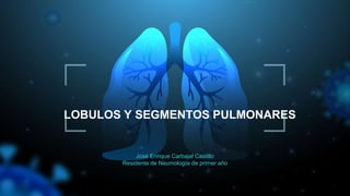 LOBULOS Y SEGMENTOS PULMONARES
José Enrique Carbajal Castillo
Residente de Neumología de primer año
 