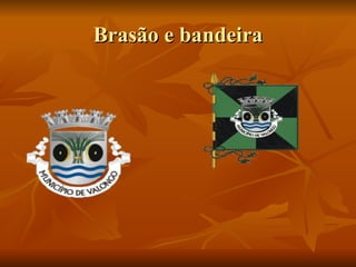 Brasão e bandeira 