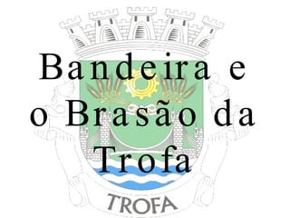 Bandeira e o Brasão da Trofa 