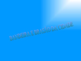 BANDEIRA E BRASÃO DA CIDADE 