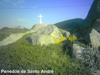 Penedos de Santo André 