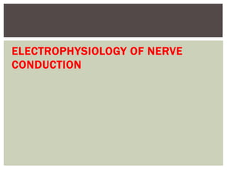 ELECTROPHYSIOLOGY OF NERVE
CONDUCTION
 