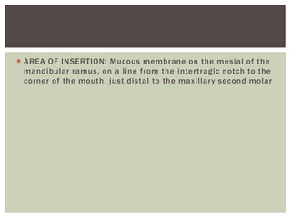  AREA OF INSERTION: Mucous membrane on the mesial of the
mandibular ramus, on a line from the intertragic notch to the
corner of the mouth, just distal to the maxillary second molar
 