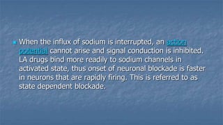 

When the influx of sodium is interrupted, an action
potential cannot arise and signal conduction is inhibited.
LA drugs bind more readily to sodium channels in
activated state, thus onset of neuronal blockade is faster
in neurons that are rapidly firing. This is referred to as
state dependent blockade.

 