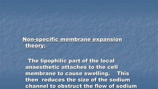 Non-specific membrane expansion
theory:
The lipophilic part of the local
anaesthetic attaches to the cell
membrane to cause swelling. This
then reduces the size of the sodium
channel to obstruct the flow of sodium

 