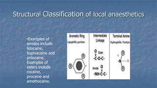Structural Classification of local anaesthetics

•Examples of
amides include
lidocaine,
bupivacaine and
prilocaine.
Examples of
esters include
cocaine,
procaine and
amethocaine.

 