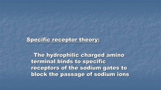 Specific receptor theory:
The hydrophilic charged amino
terminal binds to specific
receptors of the sodium gates to
block the passage of sodium ions

 