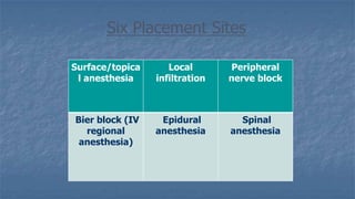 Six Placement Sites
Surface/topica
l anesthesia

Local
infiltration

Peripheral
nerve block

Bier block (IV
regional
anesthesia)

Epidural
anesthesia

Spinal
anesthesia

 
