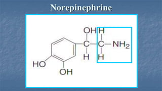 Norepinephrine

 