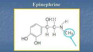 Epinephrine

 