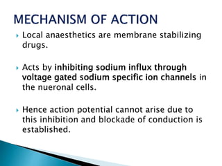  Local anaesthetics are membrane stabilizing 
drugs. 
 Acts by inhibiting sodium influx through 
voltage gated sodium specific ion channels in 
the nueronal cells. 
 Hence action potential cannot arise due to 
this inhibition and blockade of conduction is 
established. 
 