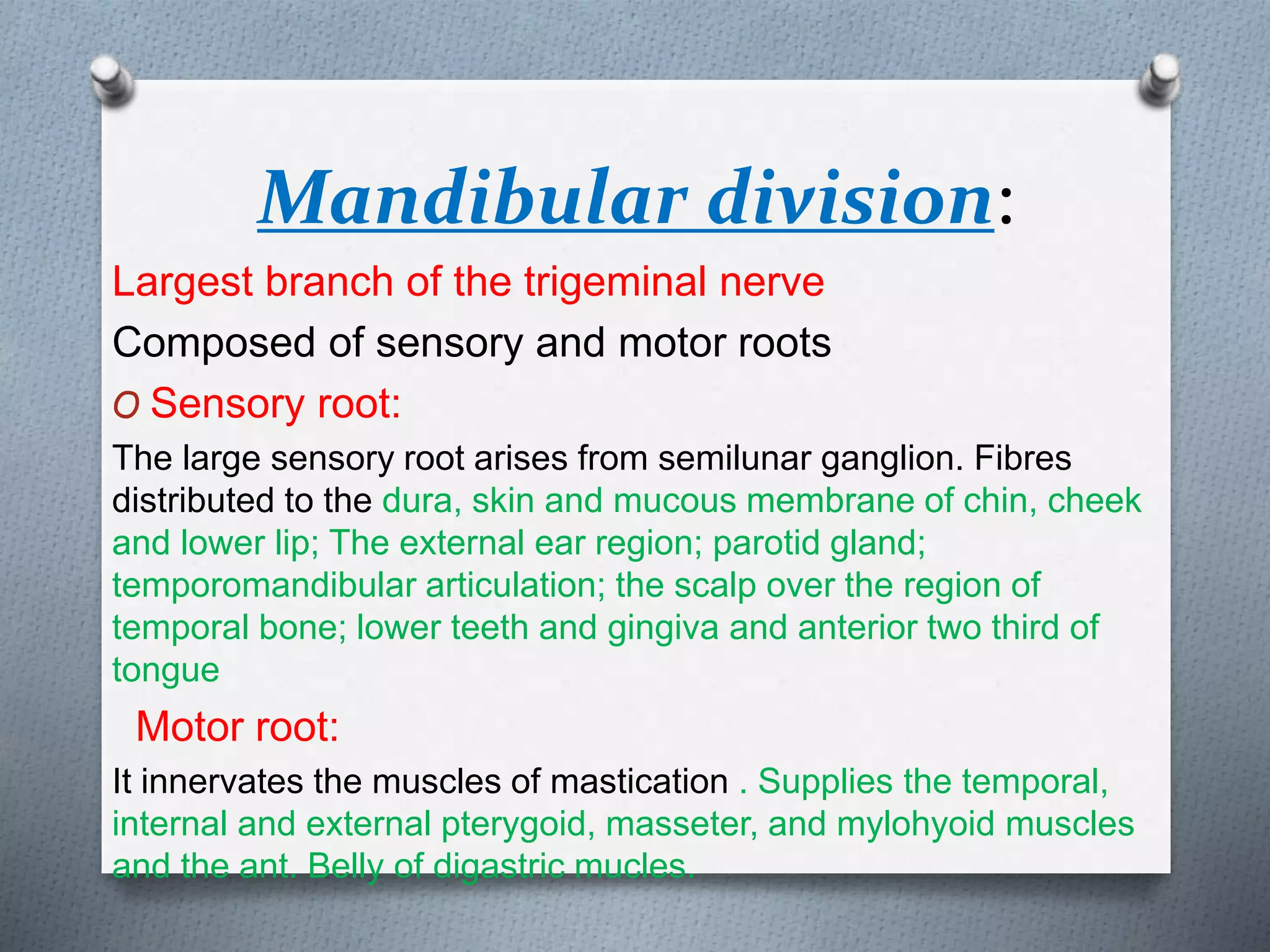 Mandibular division:
Largest branch of the trigeminal nerve
Composed of sensory and motor roots
O Sensory root:
The large sensory root arises from semilunar ganglion. Fibres
distributed to the dura, skin and mucous membrane of chin, cheek
and lower lip; The external ear region; parotid gland;
temporomandibular articulation; the scalp over the region of
temporal bone; lower teeth and gingiva and anterior two third of
tongue
Motor root:
It innervates the muscles of mastication . Supplies the temporal,
internal and external pterygoid, masseter, and mylohyoid muscles
and the ant. Belly of digastric mucles.
 