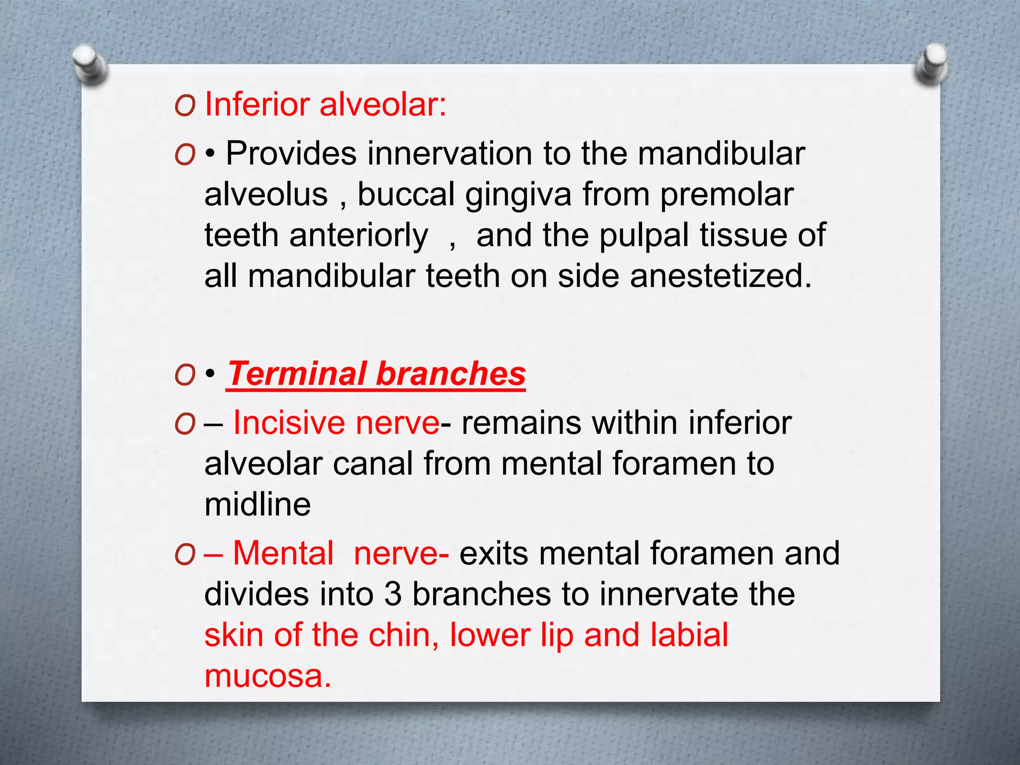 O Inferior alveolar:
O • Provides innervation to the mandibular
alveolus , buccal gingiva from premolar
teeth anteriorly , and the pulpal tissue of
all mandibular teeth on side anestetized.
O • Terminal branches
O – Incisive nerve- remains within inferior
alveolar canal from mental foramen to
midline
O – Mental nerve- exits mental foramen and
divides into 3 branches to innervate the
skin of the chin, lower lip and labial
mucosa.
 
