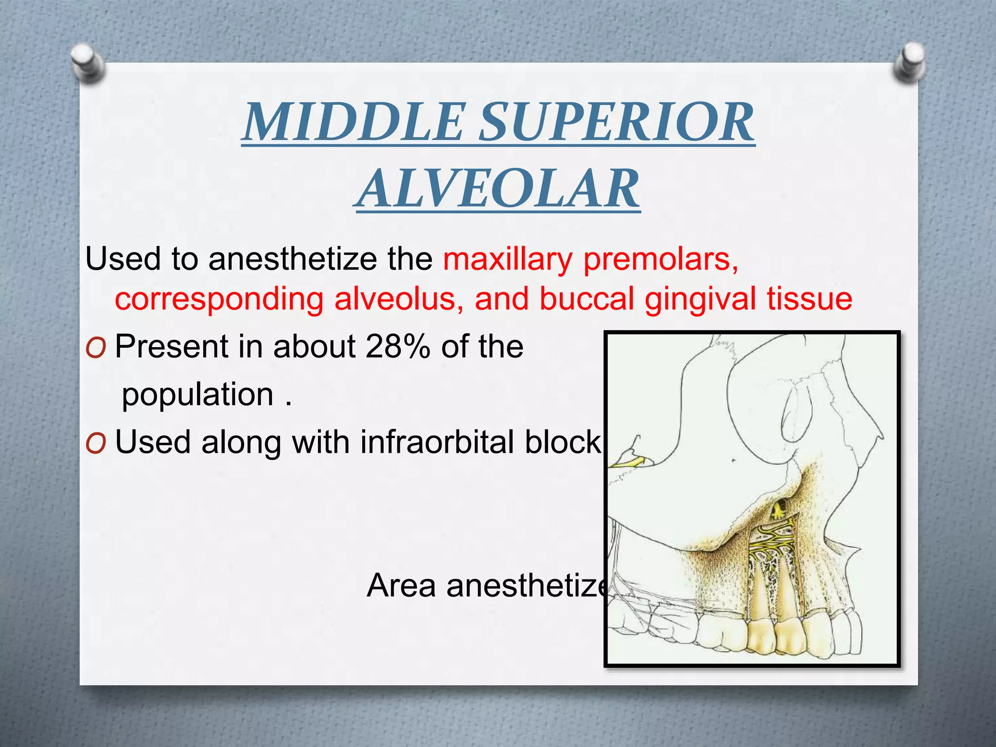 MIDDLE SUPERIOR
ALVEOLAR
Used to anesthetize the maxillary premolars,
corresponding alveolus, and buccal gingival tissue
O Present in about 28% of the
population .
O Used along with infraorbital block.
Area anesthetized
 