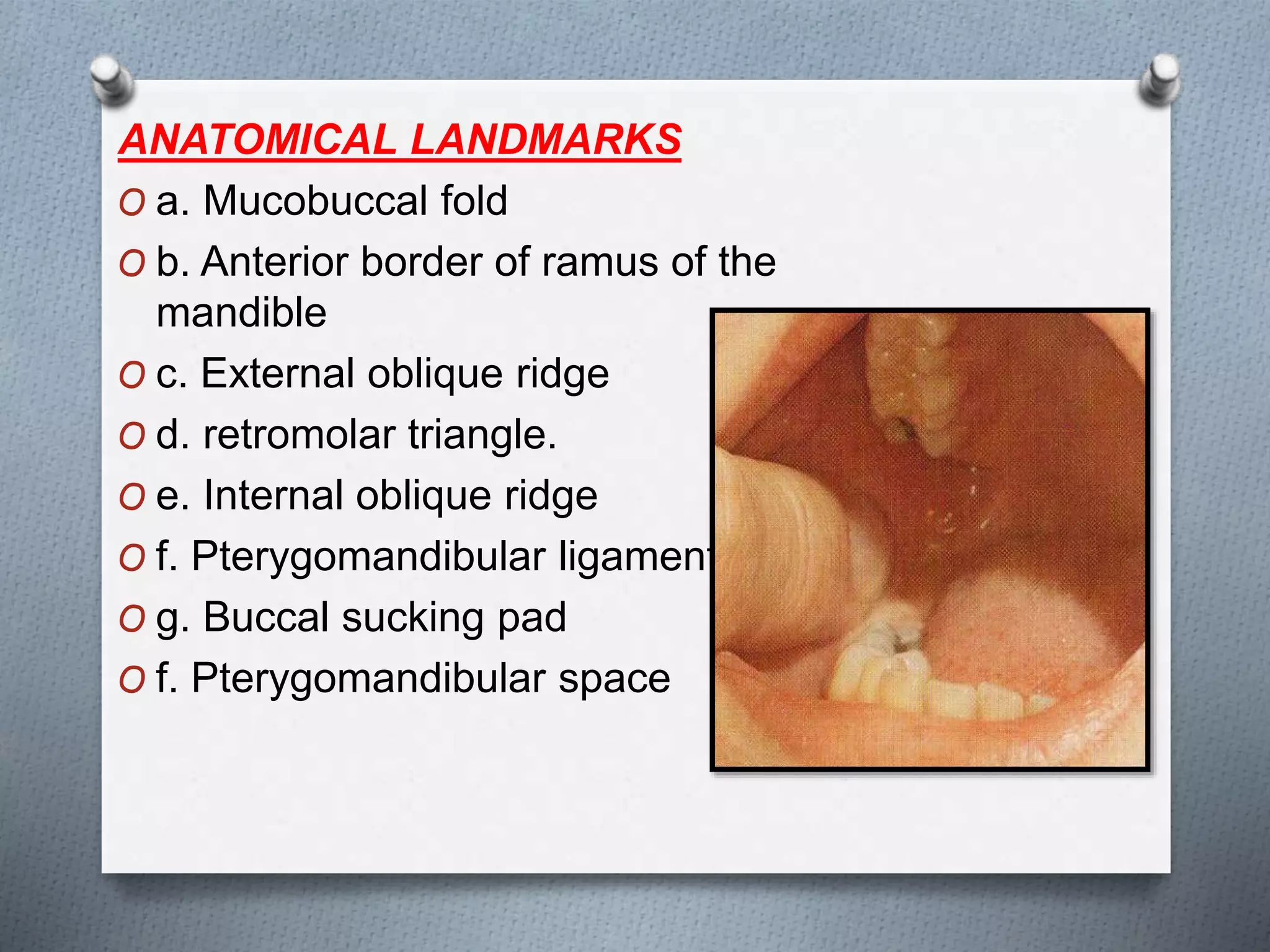 ANATOMICAL LANDMARKS
O a. Mucobuccal fold
O b. Anterior border of ramus of the
mandible
O c. External oblique ridge
O d. retromolar triangle.
O e. Internal oblique ridge
O f. Pterygomandibular ligament
O g. Buccal sucking pad
O f. Pterygomandibular space
 