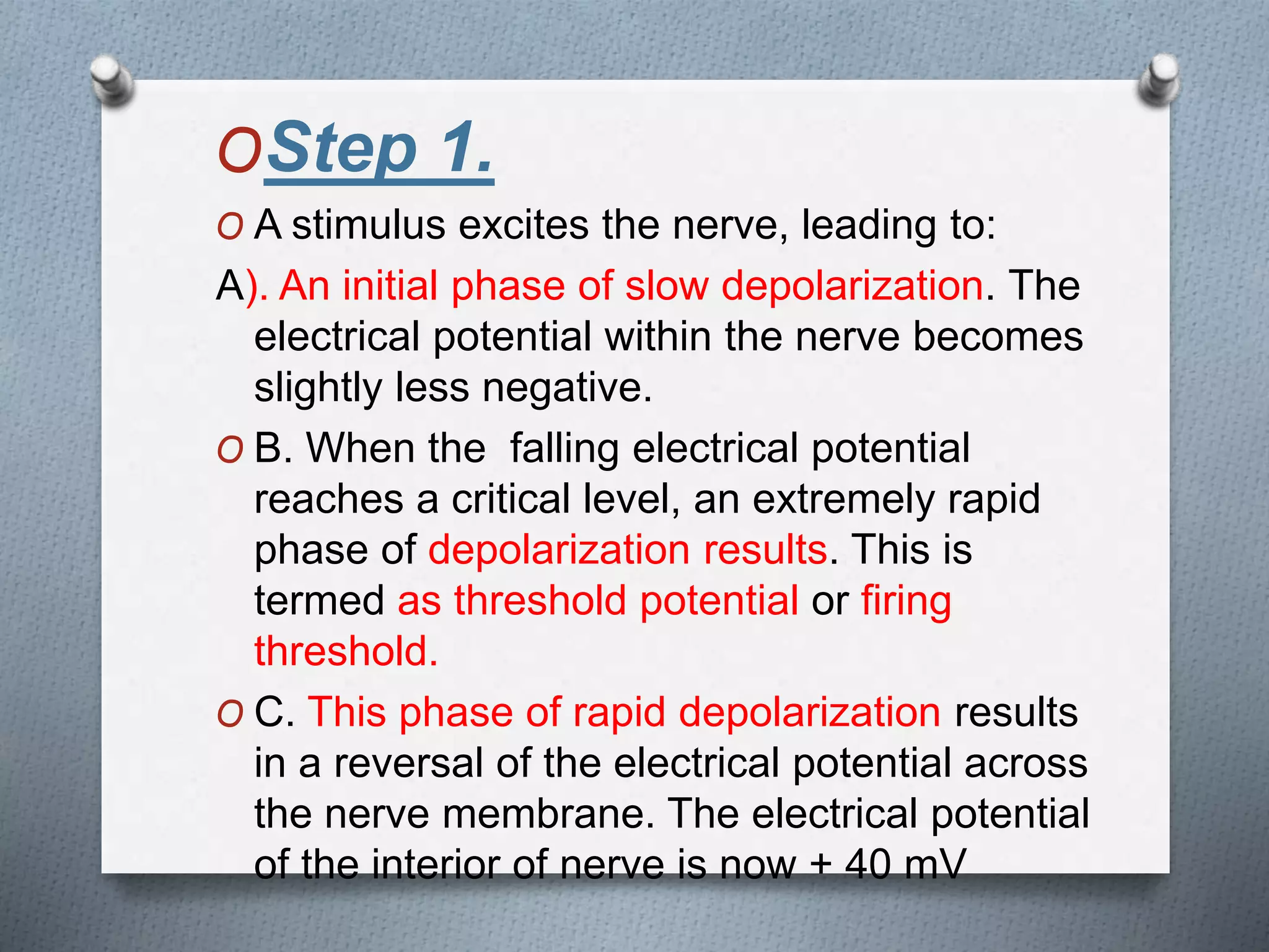 OStep 1.
O A stimulus excites the nerve, leading to:
A). An initial phase of slow depolarization. The
electrical potential within the nerve becomes
slightly less negative.
O B. When the falling electrical potential
reaches a critical level, an extremely rapid
phase of depolarization results. This is
termed as threshold potential or firing
threshold.
O C. This phase of rapid depolarization results
in a reversal of the electrical potential across
the nerve membrane. The electrical potential
of the interior of nerve is now + 40 mV
 