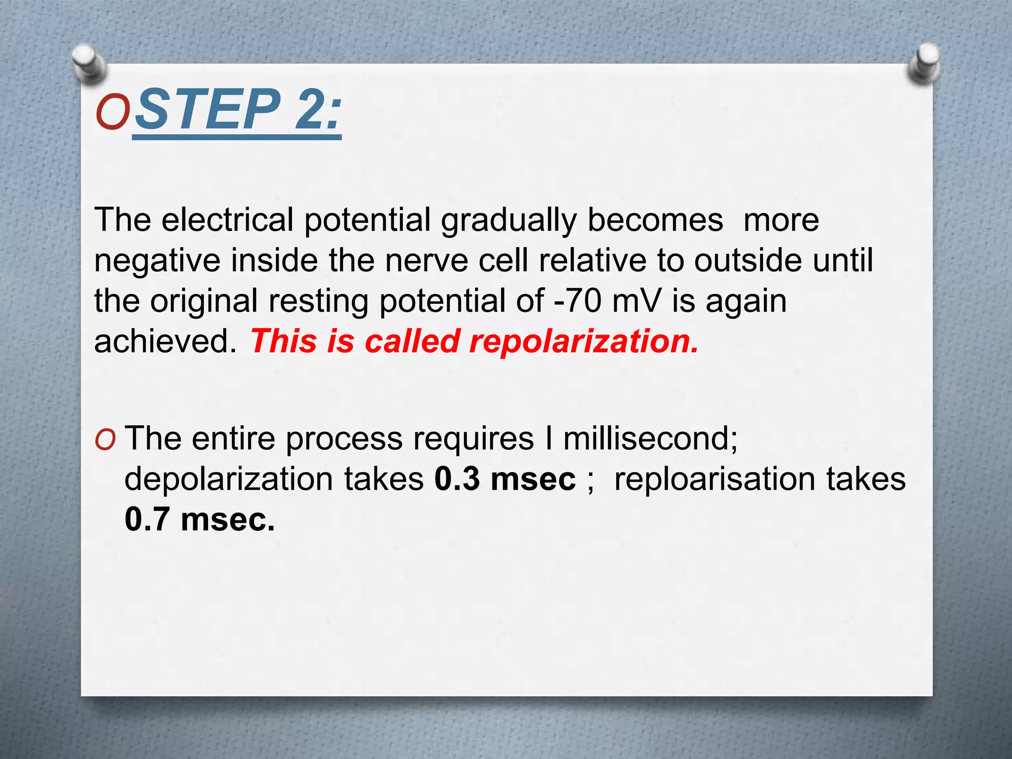 OSTEP 2:
The electrical potential gradually becomes more
negative inside the nerve cell relative to outside until
the original resting potential of -70 mV is again
achieved. This is called repolarization.
O The entire process requires I millisecond;
depolarization takes 0.3 msec ; reploarisation takes
0.7 msec.
 