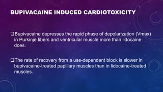 BUPIVACAINE INDUCED CARDIOTOXICITY
Bupivacaine depresses the rapid phase of depolarization (Vmax)
in Purkinje fibers and ventricular muscle more than lidocaine
does.
The rate of recovery from a use-dependent block is slower in
bupivacaine-treated papillary muscles than in lidocaine-treated
muscles.
 