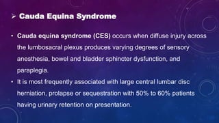  Cauda Equina Syndrome
• Cauda equina syndrome (CES) occurs when diffuse injury across
the lumbosacral plexus produces varying degrees of sensory
anesthesia, bowel and bladder sphincter dysfunction, and
paraplegia.
• It is most frequently associated with large central lumbar disc
herniation, prolapse or sequestration with 50% to 60% patients
having urinary retention on presentation.
 