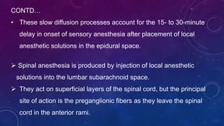 CONTD…
• These slow diffusion processes account for the 15- to 30-minute
delay in onset of sensory anesthesia after placement of local
anesthetic solutions in the epidural space.
 Spinal anesthesia is produced by injection of local anesthetic
solutions into the lumbar subarachnoid space.
 They act on superficial layers of the spinal cord, but the principal
site of action is the preganglionic fibers as they leave the spinal
cord in the anterior rami.
 
