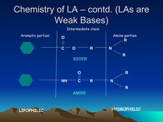 C
Chemistry of LA – contd. (LAs are
Chemistry of LA – contd. (LAs are
Weak Bases)
Weak Bases)
C O
O
R N
R
R
NH
O
R N
R
R
Aromatic portion Amine portion
Intermediate chain
ESTER
AMIDE
LIPOPHILIC HYDROPHILIC
 