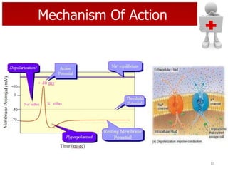 Mechanism Of Action

10

 