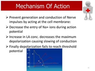 Mechanism Of Action
 Prevent generation and conduction of Nerve
impulses by acting at the cell membrane:
 Decrease the entry of Na+ ions during action
potential
 Increase in LA conc. decreases the maximum
depolarization causing slowing of conduction
 Finally depolarization fails to reach threshold
potential

11

 