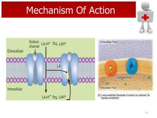 Mechanism Of Action

12

 