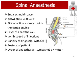 Spinal Anaesthesia
 Subarachnoid space
 between L2-3 or L3-4
 Site of action – nerve root in
the cauda equina
 Level of anaesthesia –
 vol. & speed of injection;
 Baricity of drug soln. with CSF
 Posture of patient
 Order of anaesthesia – sympathetic > motor
40

 