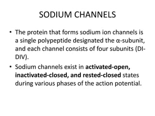 SODIUM CHANNELS
• The protein that forms sodium ion channels is
a single polypeptide designated the α-subunit,
and each channel consists of four subunits (DI-
DIV).
• Sodium channels exist in activated-open,
inactivated-closed, and rested-closed states
during various phases of the action potential.
 