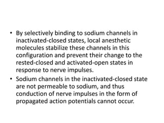 • By selectively binding to sodium channels in
inactivated-closed states, local anesthetic
molecules stabilize these channels in this
configuration and prevent their change to the
rested-closed and activated-open states in
response to nerve impulses.
• Sodium channels in the inactivated-closed state
are not permeable to sodium, and thus
conduction of nerve impulses in the form of
propagated action potentials cannot occur.
 