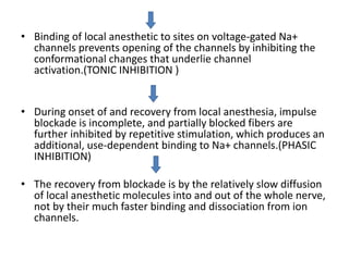 • Binding of local anesthetic to sites on voltage-gated Na+
channels prevents opening of the channels by inhibiting the
conformational changes that underlie channel
activation.(TONIC INHIBITION )
• During onset of and recovery from local anesthesia, impulse
blockade is incomplete, and partially blocked fibers are
further inhibited by repetitive stimulation, which produces an
additional, use-dependent binding to Na+ channels.(PHASIC
INHIBITION)
• The recovery from blockade is by the relatively slow diffusion
of local anesthetic molecules into and out of the whole nerve,
not by their much faster binding and dissociation from ion
channels.
 