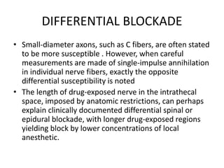 DIFFERENTIAL BLOCKADE
• Small-diameter axons, such as C fibers, are often stated
to be more susceptible . However, when careful
measurements are made of single-impulse annihilation
in individual nerve fibers, exactly the opposite
differential susceptibility is noted
• The length of drug-exposed nerve in the intrathecal
space, imposed by anatomic restrictions, can perhaps
explain clinically documented differential spinal or
epidural blockade, with longer drug-exposed regions
yielding block by lower concentrations of local
anesthetic.
 